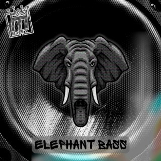 Elephant Bass