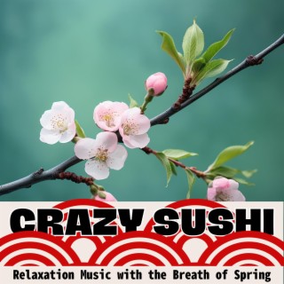 Relaxation Music with the Breath of Spring