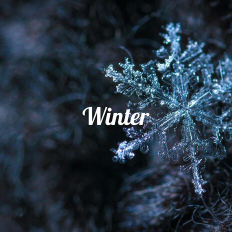 Winter | Boomplay Music