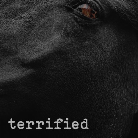 Terrified | Boomplay Music