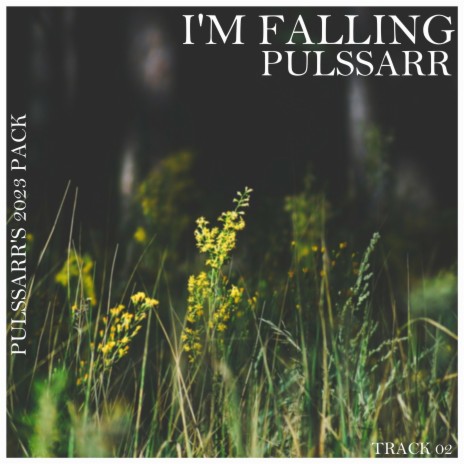 I'm Falling | Boomplay Music