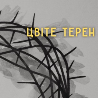 Цвiте терен