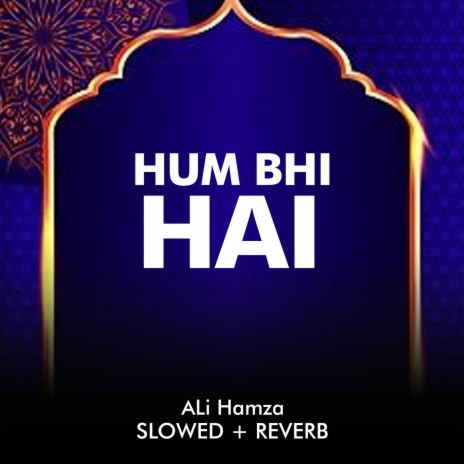 Hum Bhi Hai Lofi | Boomplay Music