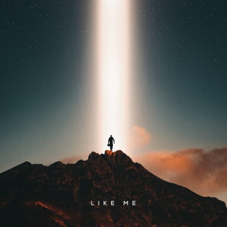 Like Me | Boomplay Music