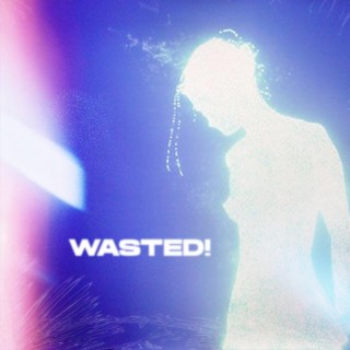 Wasted!