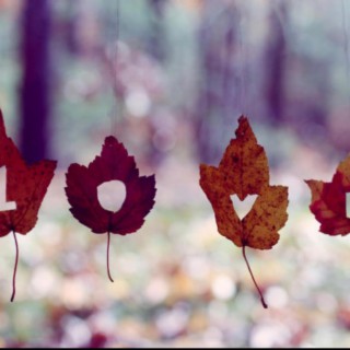 Fall In Love