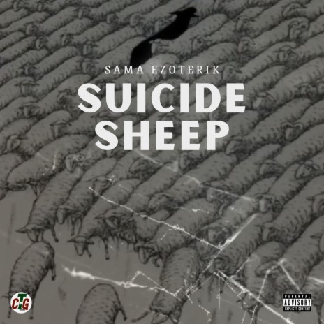 Suicide Sheep | Boomplay Music