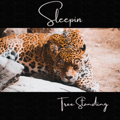 Sleepin | Boomplay Music