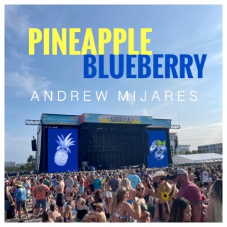 Pineapple Blueberry lyrics | Boomplay Music