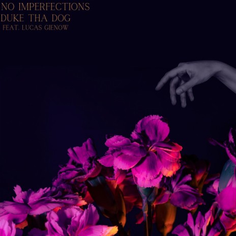 No Imperfections ft. Lucas Gienow | Boomplay Music
