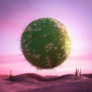 Cactus Moon