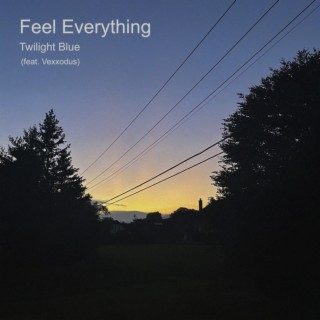 Feel Everything