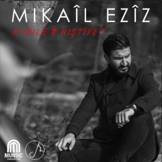 Kî Dilê te Hiştîye ? lyrics | Boomplay Music