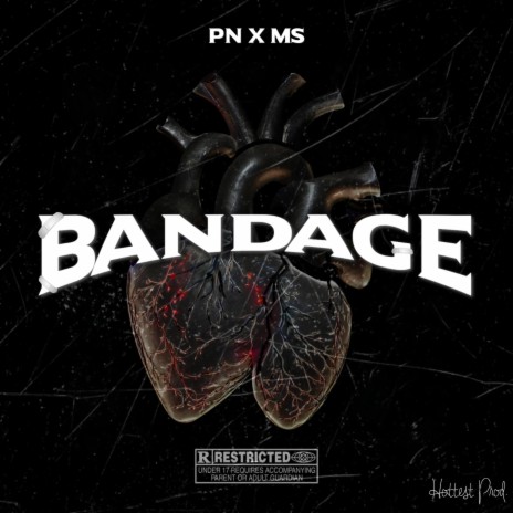 Bandage ft. MS | Boomplay Music