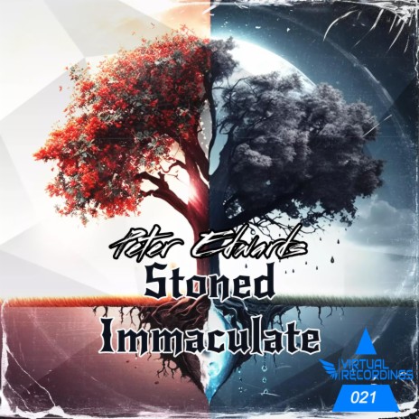 STONED IMMACULATE | Boomplay Music