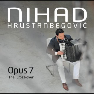 Nihad Hrustanbegovic