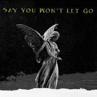 Say You Won't Let Go lyrics | Boomplay Music