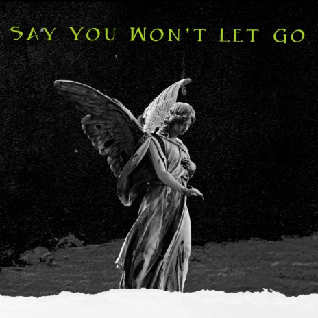 Say You Won't Let Go | Boomplay Music