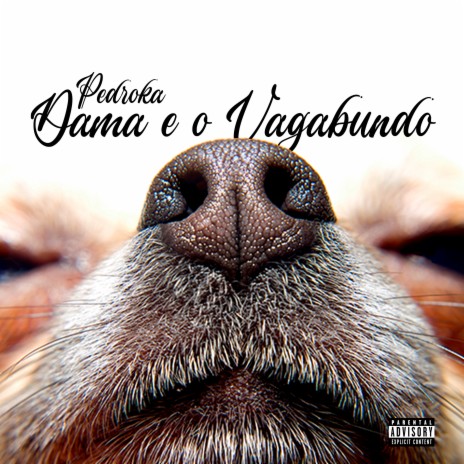 Dama e o Vagabundo | Boomplay Music