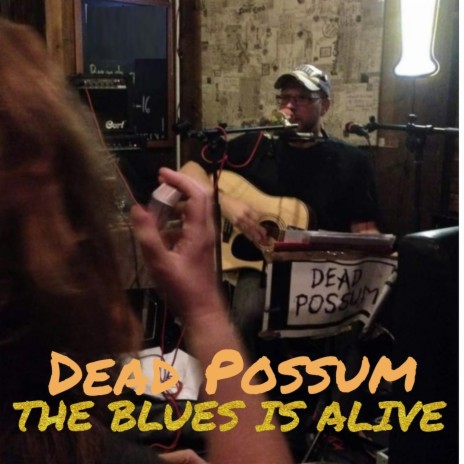 Play Possum | Boomplay Music