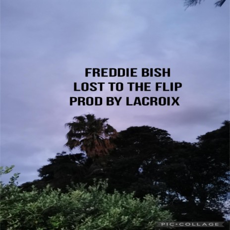 Lost to the Flip ft. Freddie Bish | Boomplay Music