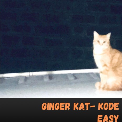 Ginger Kat