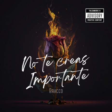 No Te Creas Importante | Boomplay Music