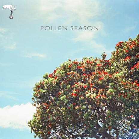 Pollen Season | Boomplay Music