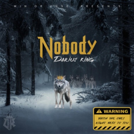 Nobody (feat. Nippy) | Boomplay Music