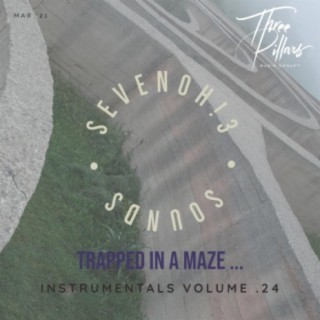 Trapped In A Maze ... Instrumentals, Vol. 24