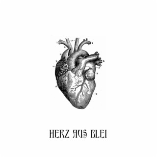 Herz aus Blei lyrics | Boomplay Music