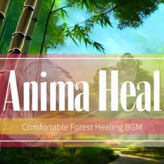 Comfortable Forest Healing BGM