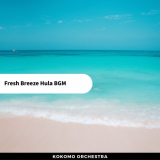 Fresh Breeze Hula BGM