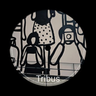 Tribus