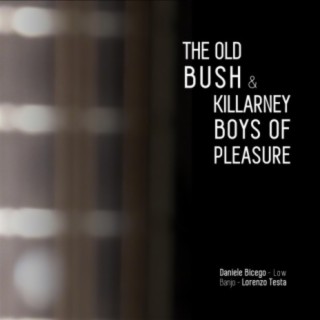 The Old Bush / Killarney Boys Of Pleasure