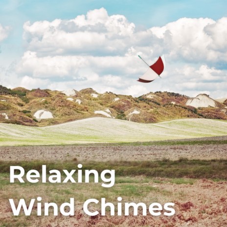 Relaxing Winds ft. Chill Relaxers, Sounds Of Nature, Relaxing Music Sleeper, Wildlife Recordings & Worldwide Nature Studios