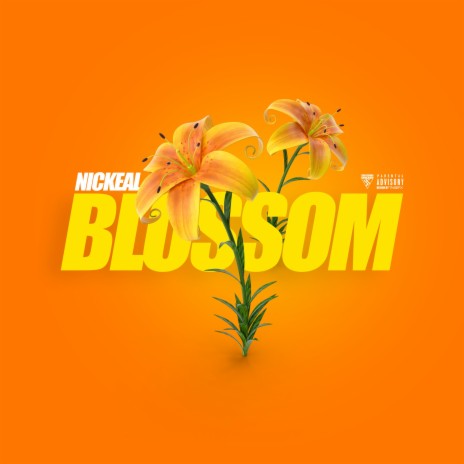 Blossom (Radio edit) | Boomplay Music
