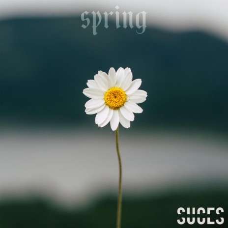 spring | Boomplay Music