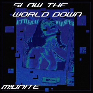 Slow The World Down