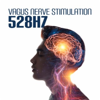 Vagus Nerve Stimulation 528Hz: Stop Anxiety Fast, Heart Repair, Improve Blood Circulation, Quantum Miracle Frequency