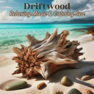 Driftwood: Relaxing Music & Calming Sea Sounds for Meditation and Sleep