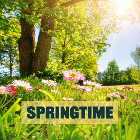 Springtime | Boomplay Music