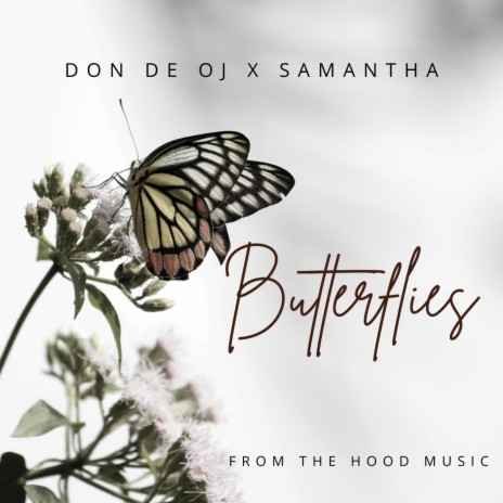 BUTTERFLIES (DON DE OJ) ft. SAMANTHA | Boomplay Music