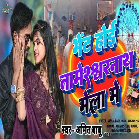 Bhet hoi re pagli tameshwar nath Mela me | Boomplay Music