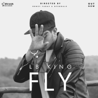 Fly lyrics | Boomplay Music