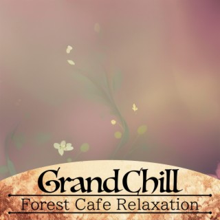 Forest Cafe Relaxation