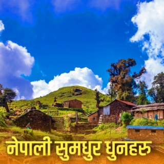 Nepali Flute Music (सुमधुर नेपाली धुनहरु)