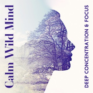 Calm Wild Mind: Deep Concentration Music for Focus and Creative Work, Inspiring Jungle Sounds to Relax Your Mind with Ease and Flow