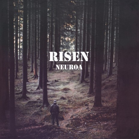 Risen | Boomplay Music