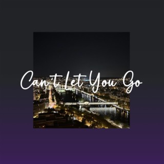 Can't Let You Go